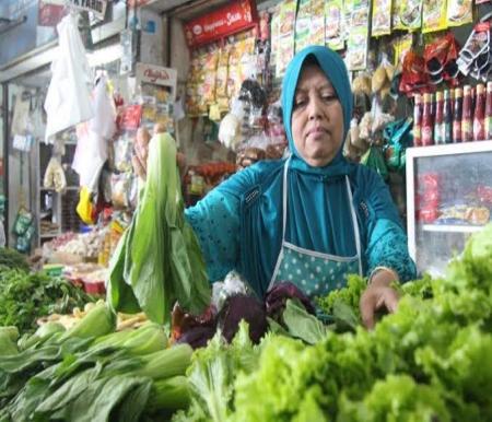Harga sayur mayur di Pekanbaru masih tinggi (foto/int)